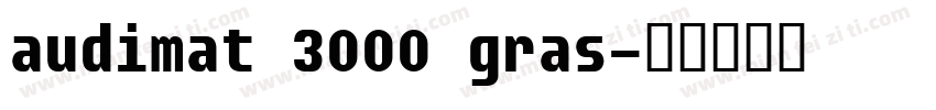 audimat 3000 gras字体转换